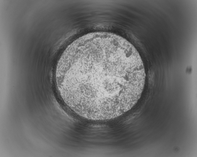 X0000113930637200910231922