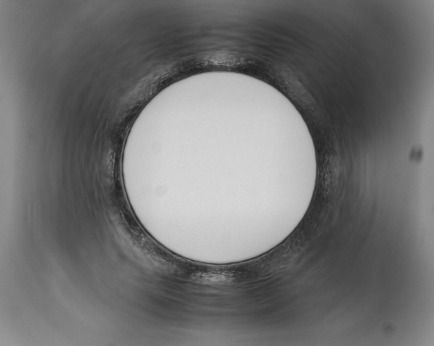 X0000113930639200910231922