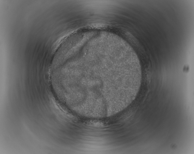 X0000113930640200910231922