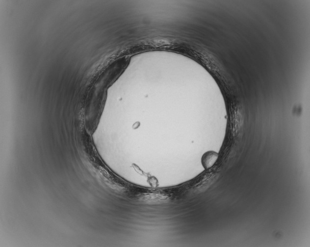 X0000113930644200910231922