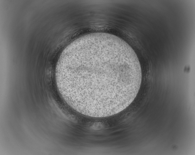 X0000113930647200910231922