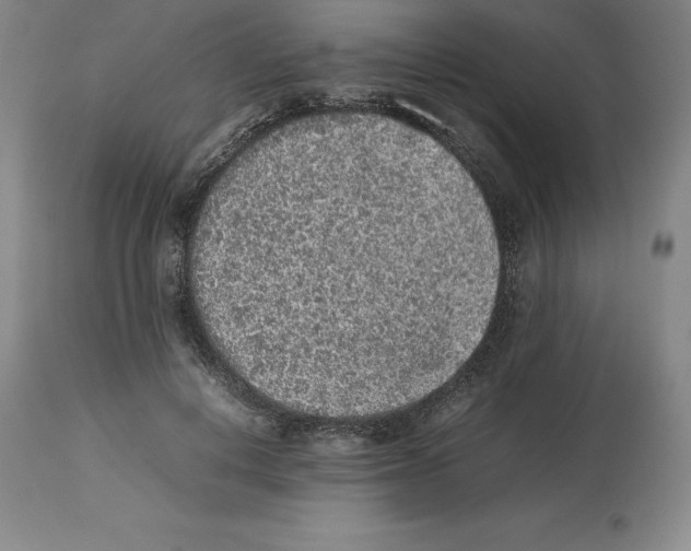 X0000113930648200910231922