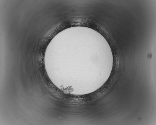 X0000113930657200910231923
