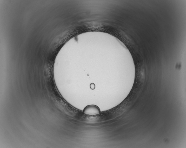 X0000113930658200910231923