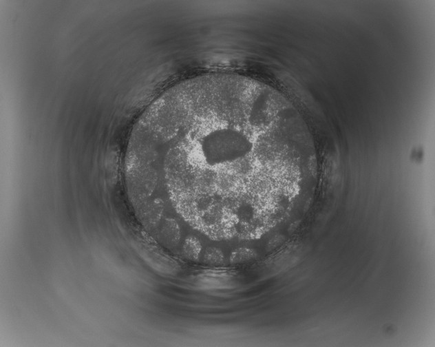 X0000113930659200910231923
