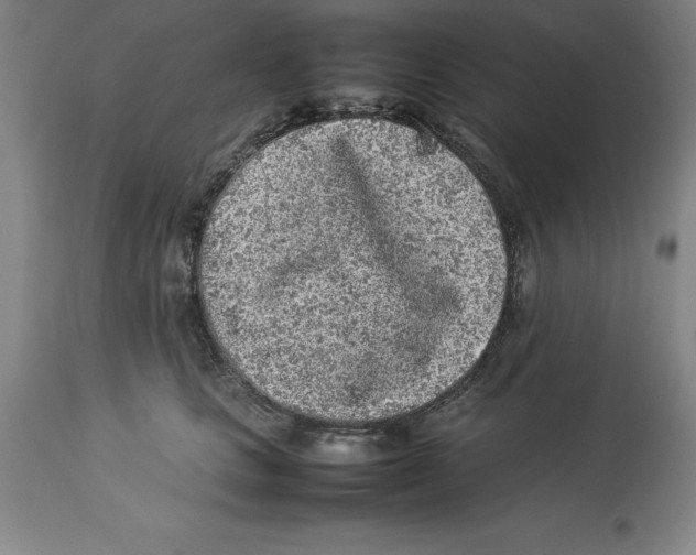 X0000113930661200910231923