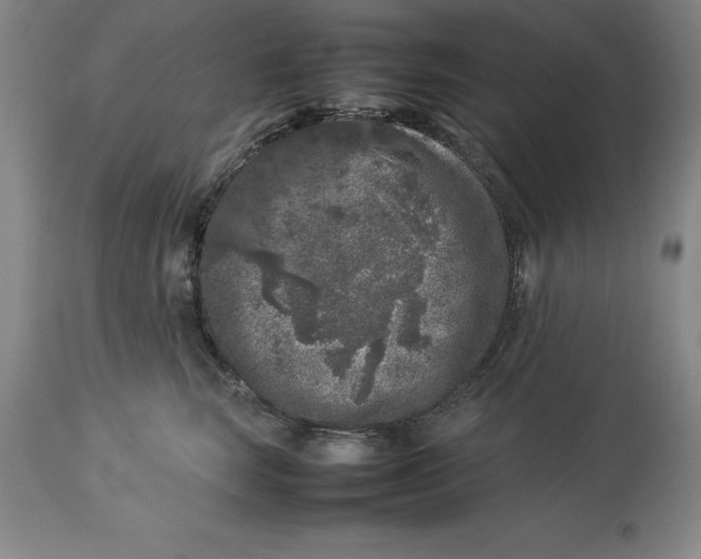 X0000113930663200910231923