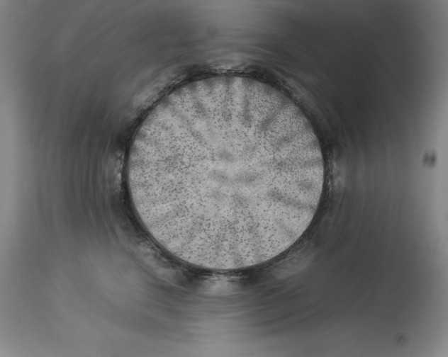 X0000113930664200910231923