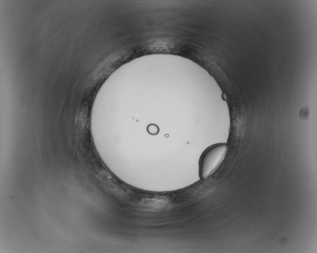 X0000113930665200910231923