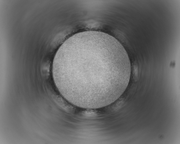 X0000113930668200910231923