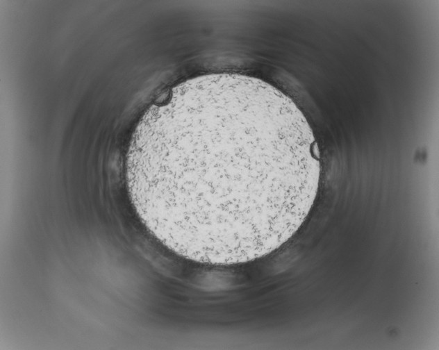 X0000113930669200910231923