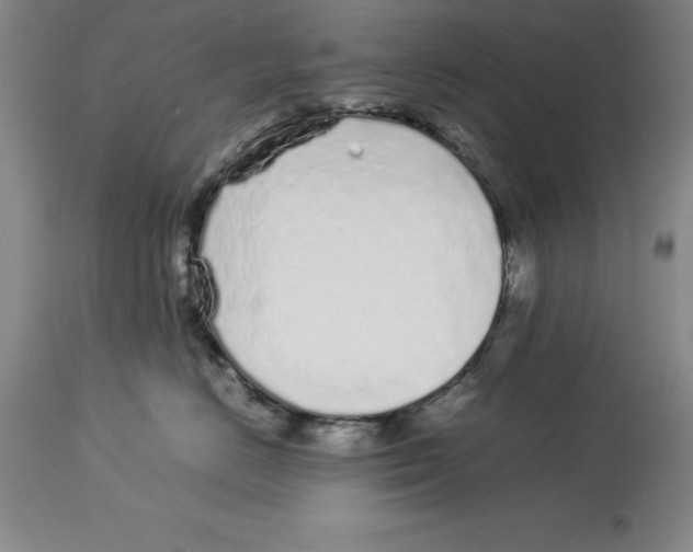 X0000113930670200910231923