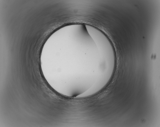 X0000113930673200910231922