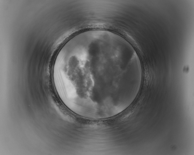 X0000113930674200910231922