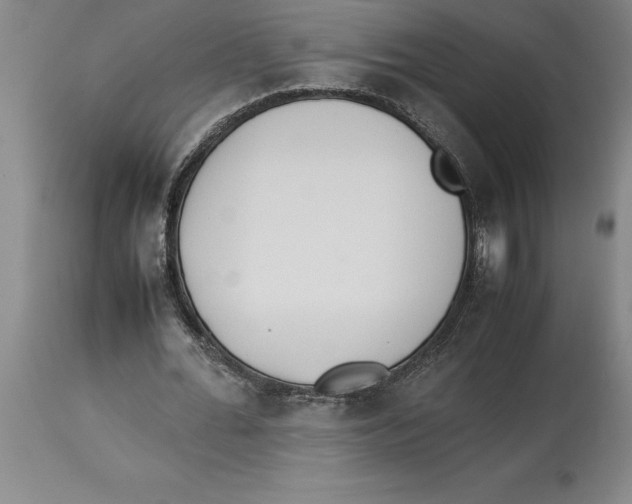 X0000113930676200910231922