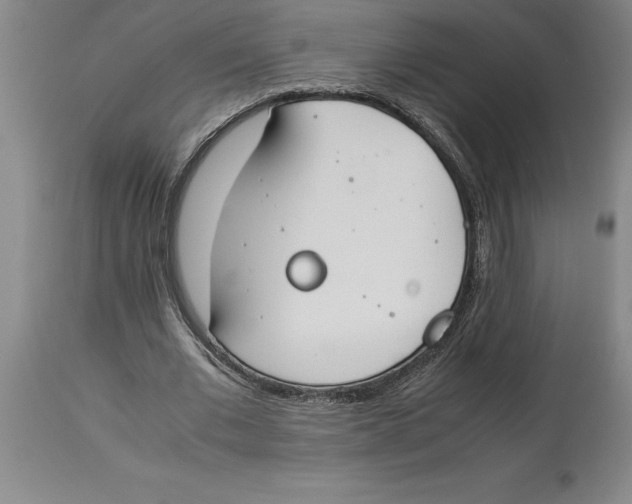 X0000113930677200910231922