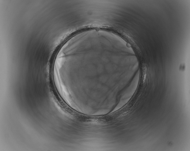 X0000113930678200910231922