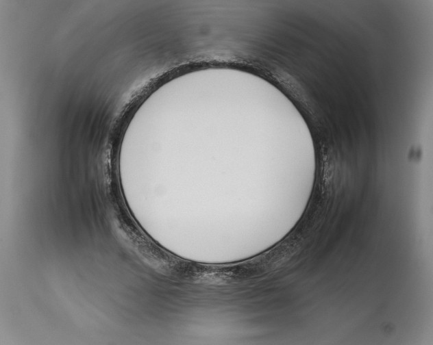 X0000113930680200910231922