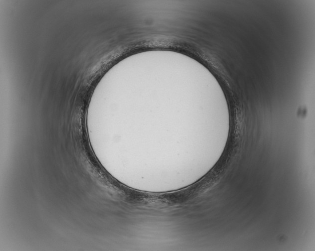 X0000113930681200910231922