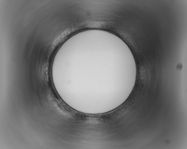 X0000113930682200910231922