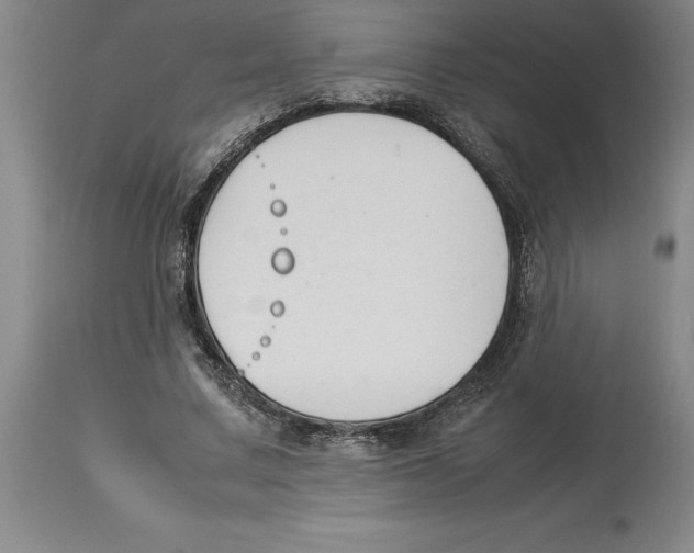 X0000113930683200910231922