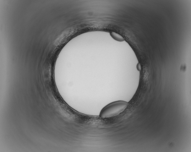 X0000113930685200910231922