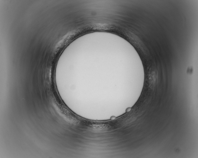 X0000113930686200910231922