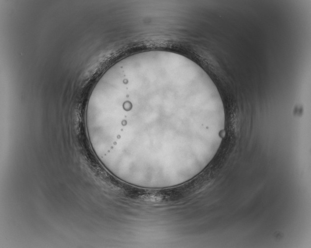 X0000113930687200910231922