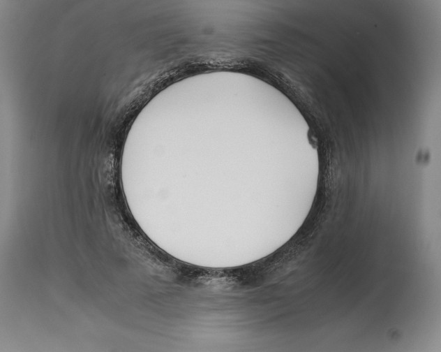 X0000113930689200910231922