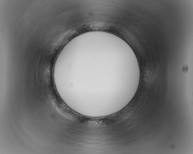 X0000113930690200910231922