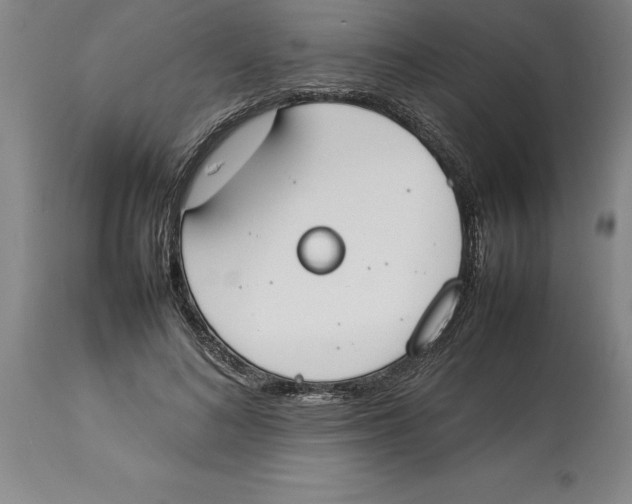 X0000113930692200910231922