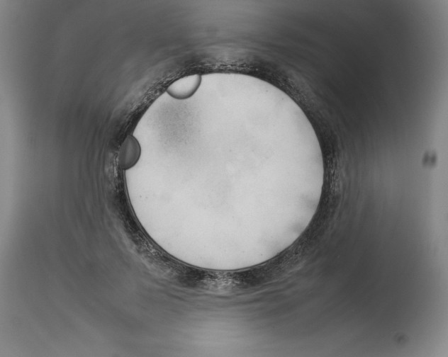 X0000113930695200910231922