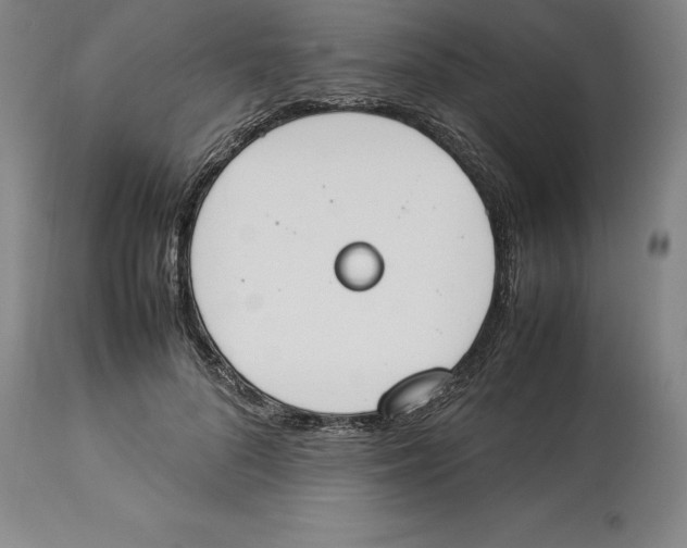 X0000113930696200910231922