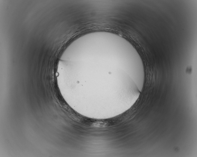X0000113930700200910231922