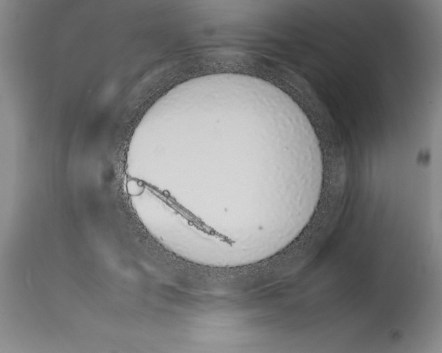 X0000113930701200910231921