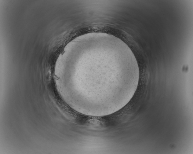 X0000113930703200910231921