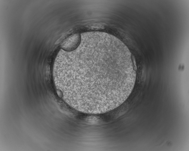 X0000113930704200910231921