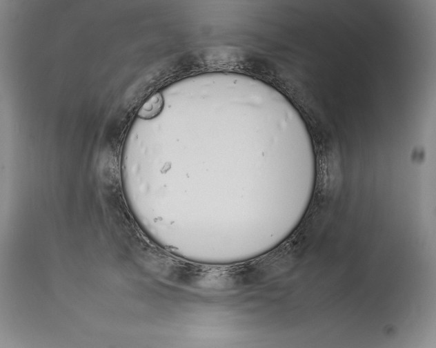 X0000113930705200910231921
