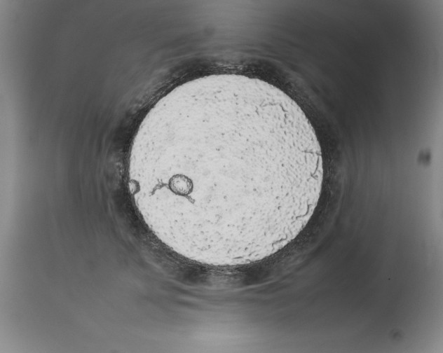 X0000113930707200910231921