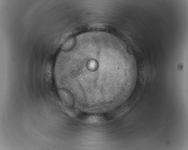 X0000113930708200910231921