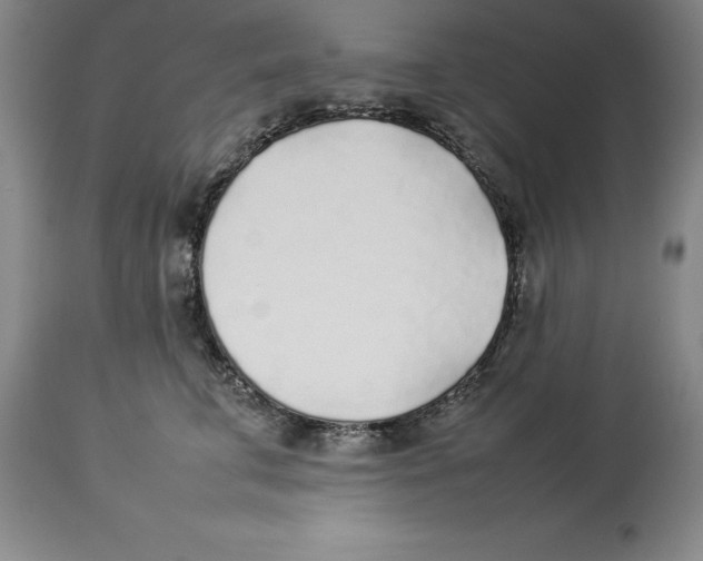 X0000113930711200910231921
