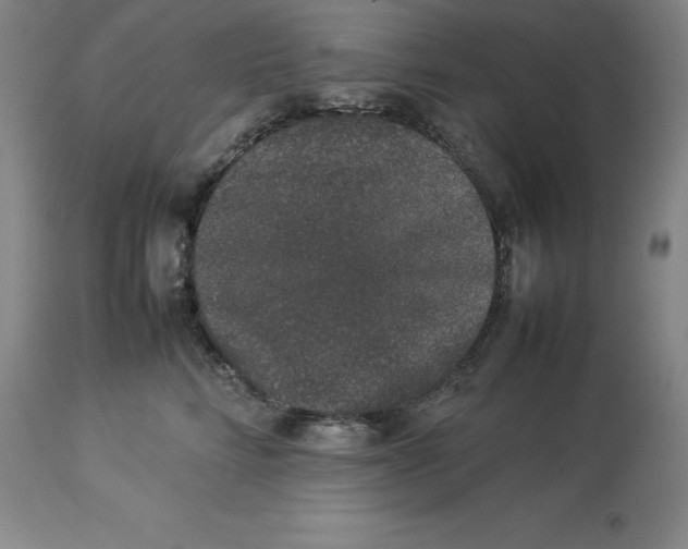 X0000113930712200910231921