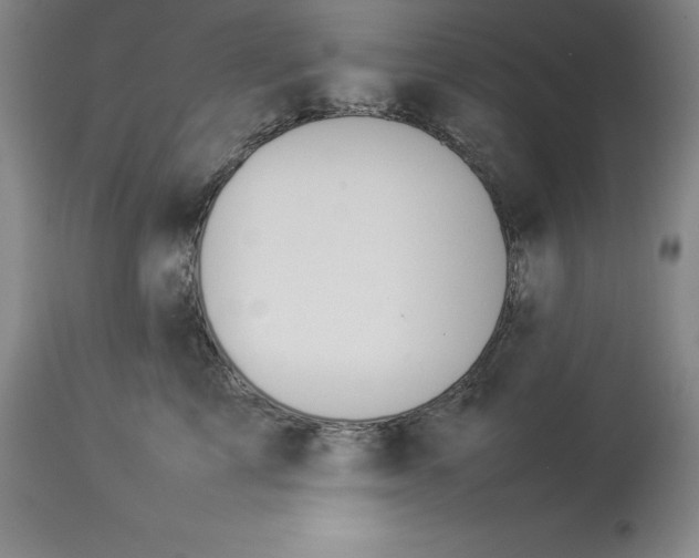 X0000113930713200910231921