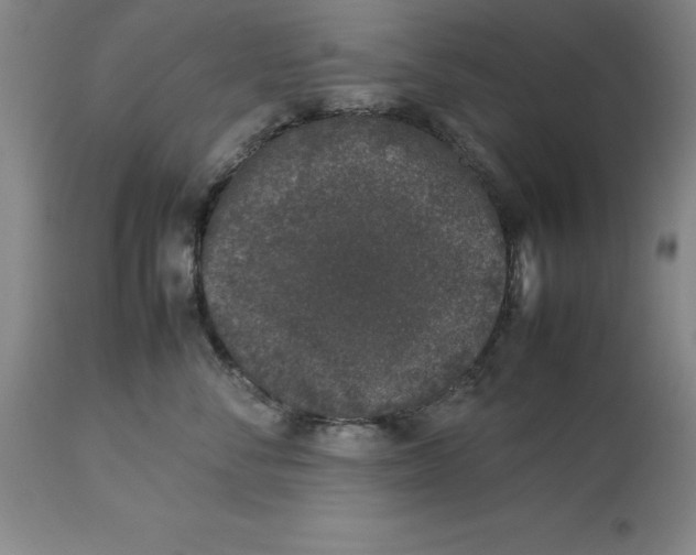 X0000113930716200910231921