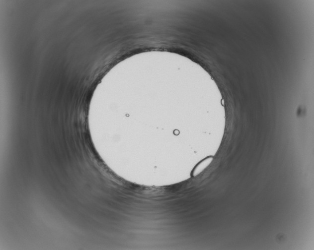 X0000113930720200910231921