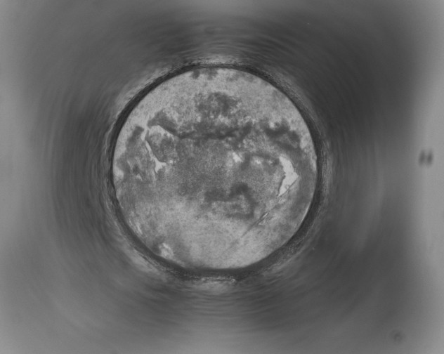 X0000113930721200910231920
