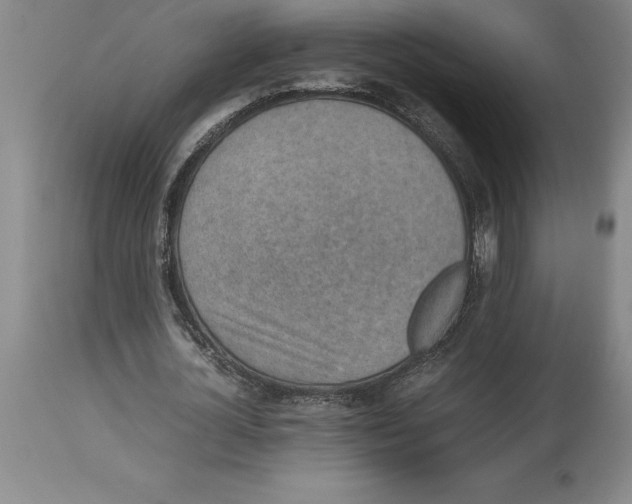 X0000113930724200910231920