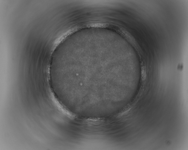 X0000113930725200910231920