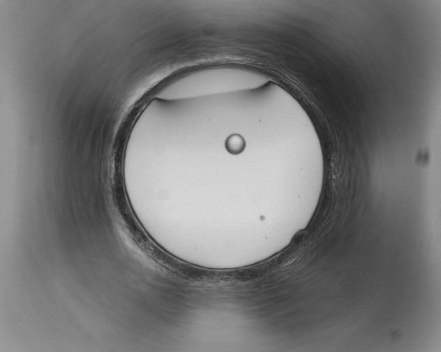 X0000113930726200910231920
