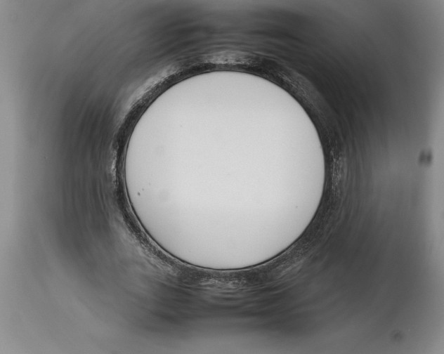X0000113930727200910231920